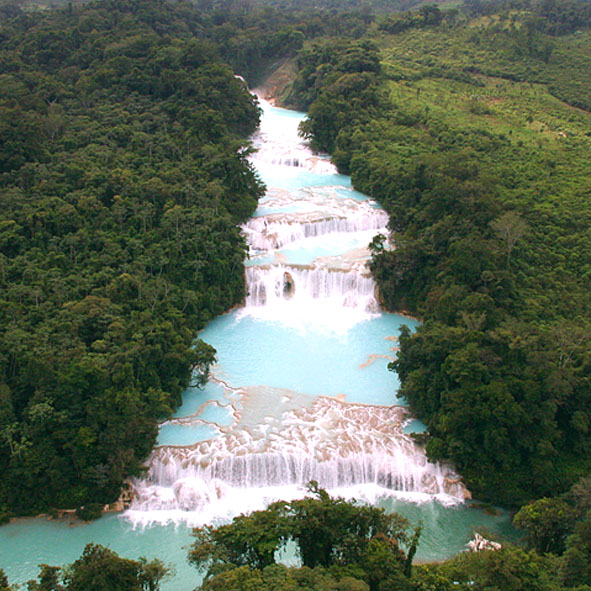 Visitar las Cascadas de Agua Azul – CHIAPAS, MARAVILLAS NATURALES